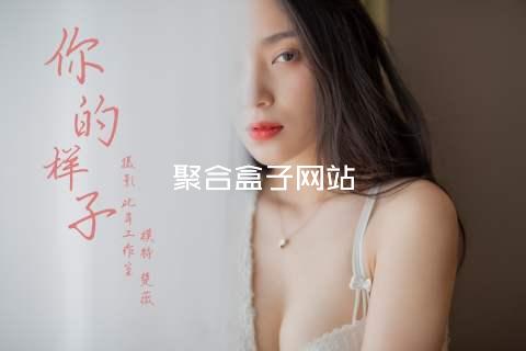 聚合盒子网站
